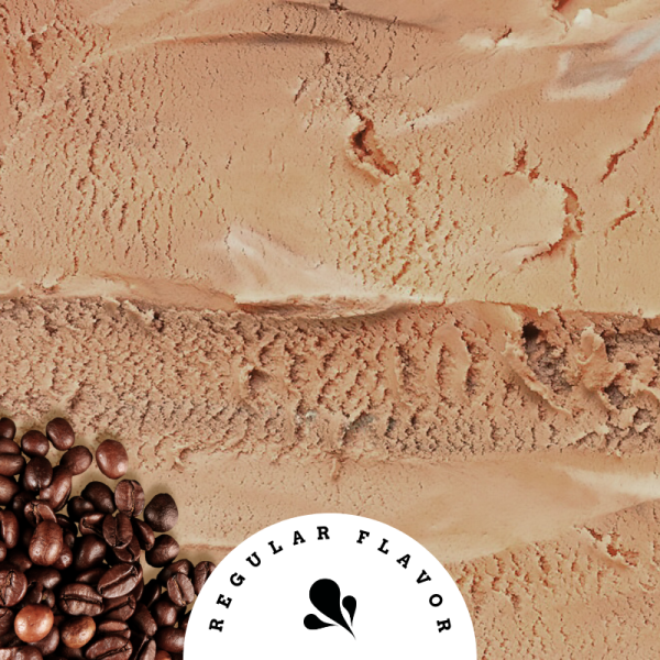Bold Brew Coffee Ice Cream - Luche Ice Cream